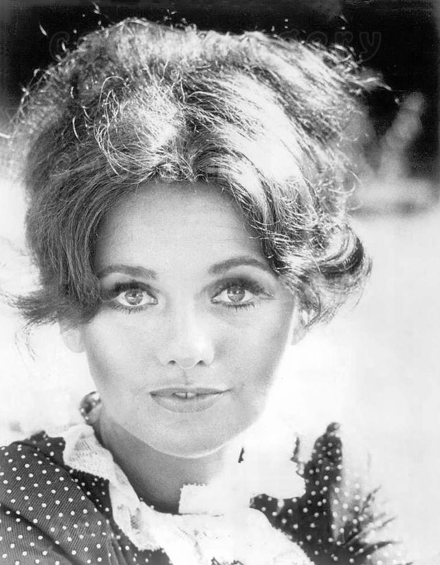 Dawn Wells Net Worth