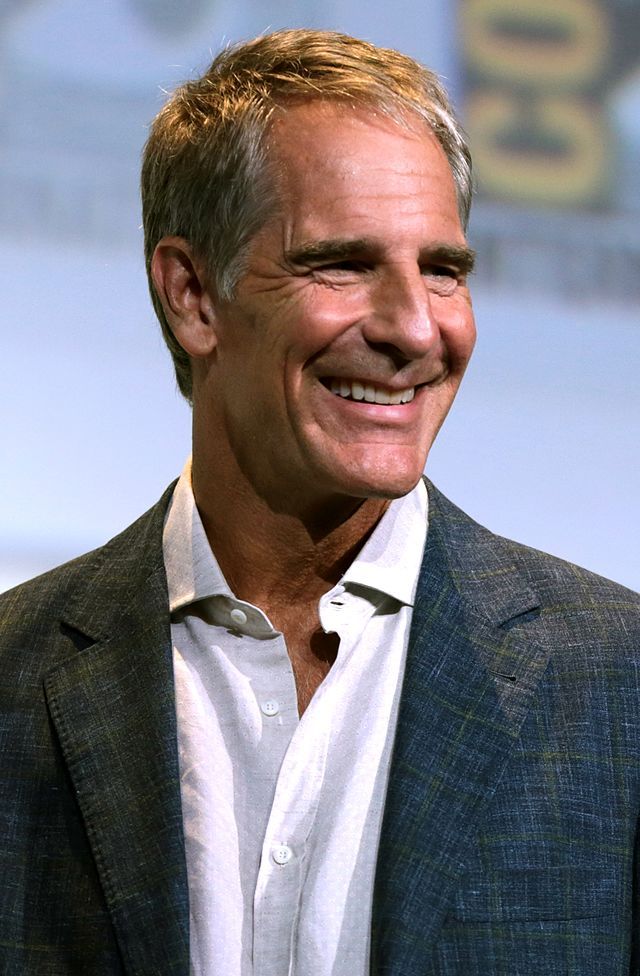 Scott Bakula Net Worth