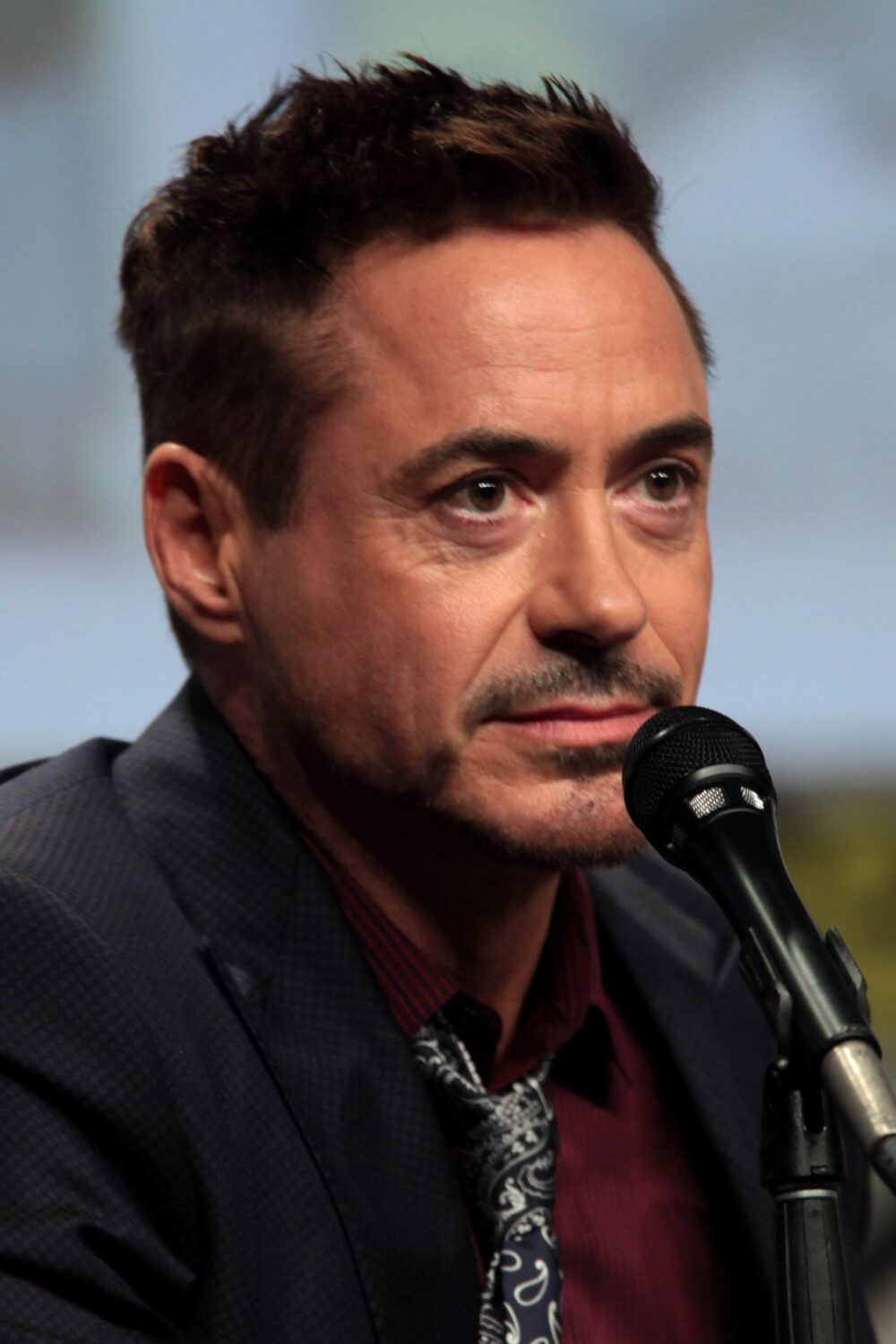 Rdj Net Worth