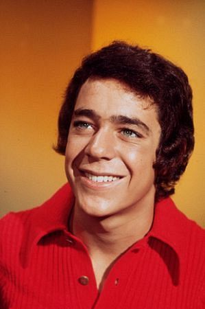 Net Worth Of Barry Williams