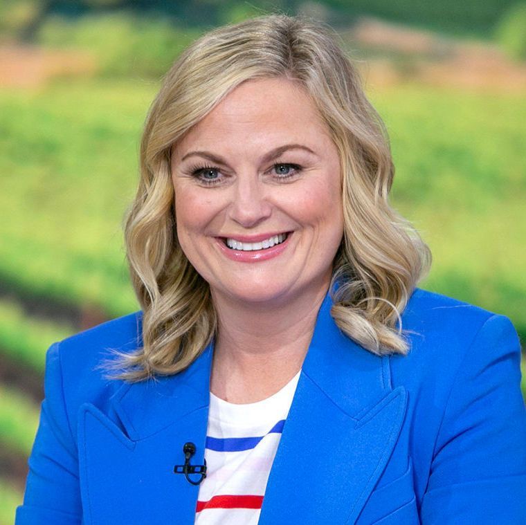 Net Worth Of Amy Poehler