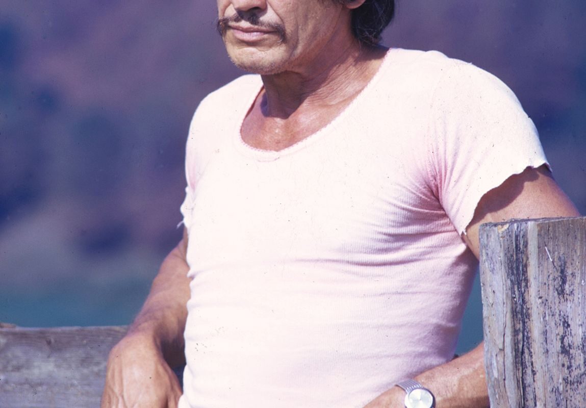 Net Worth Charles Bronson