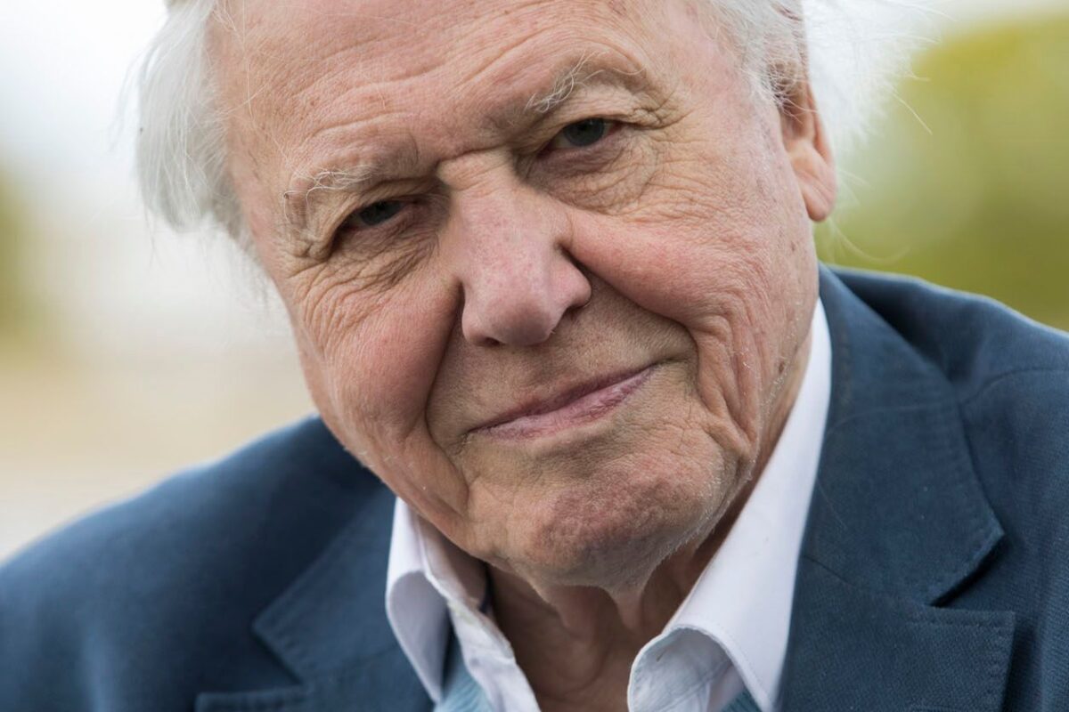 David Attenborough Net Worth