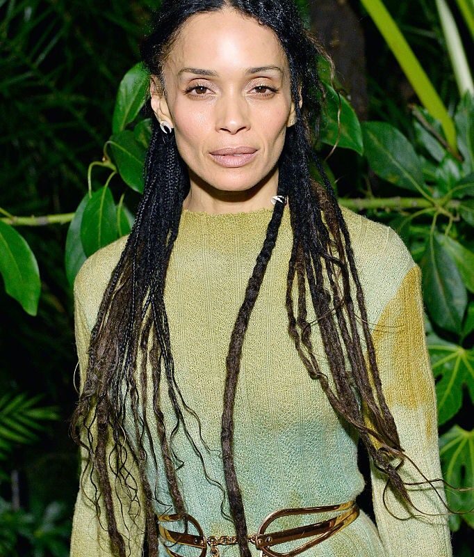 Net Worth Lisa Bonet