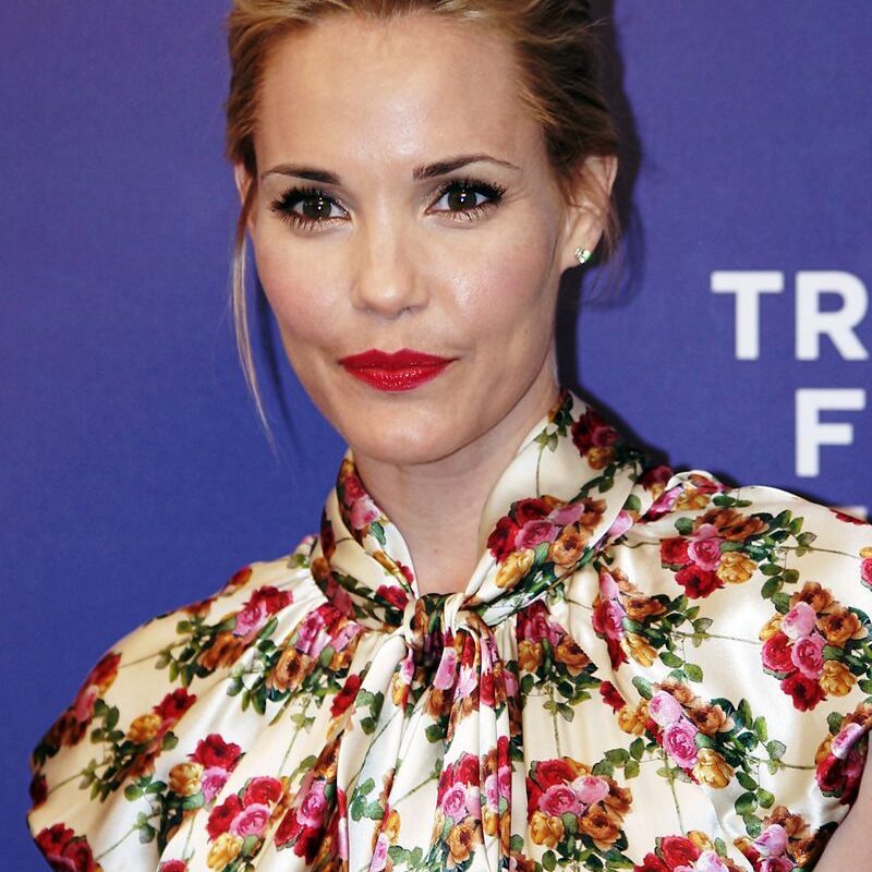 Leslie Bibb Net Worth