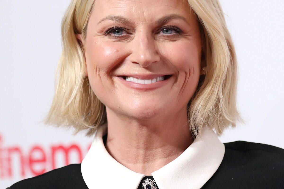 Net Worth Amy Poehler